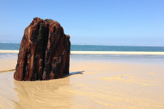 La-Teste-de-Buch-Frankreich