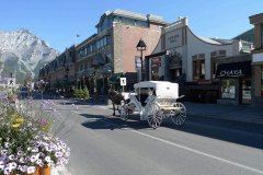 banff-2010