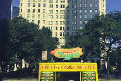 new-york-hot-dog