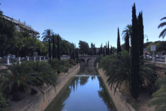 palma-2016